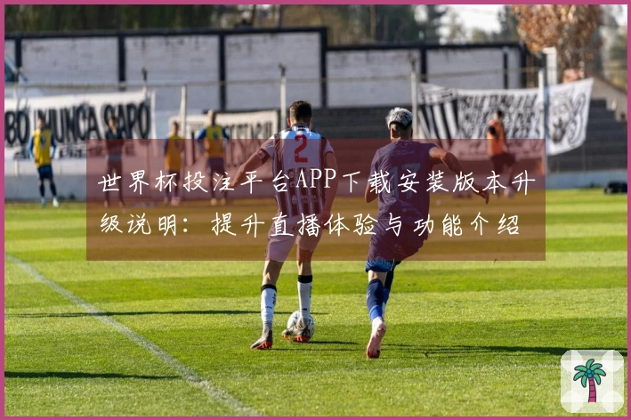 世界杯投注平台APP下载安装版本升级说明：提升直播体验与功能介绍