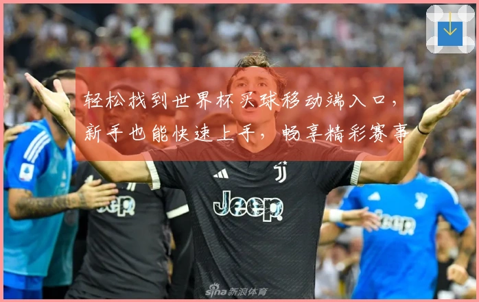 轻松找到世界杯买球移动端入口，新手也能快速上手，畅享精彩赛事直播