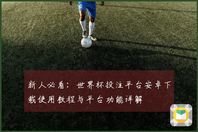 新人必看：世界杯投注平台安卓下载使用教程与平台功能详解