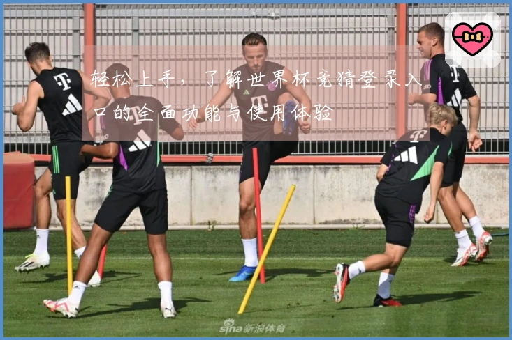 轻松上手，了解世界杯竞猜登录入口的全面功能与使用体验
