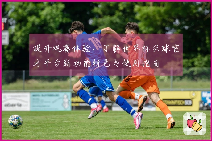 提升观赛体验,了解世界杯买球官方平台新功能特色与使用指南