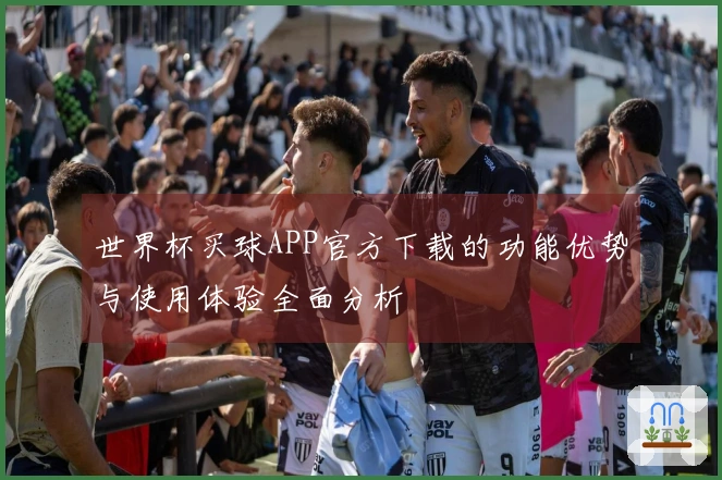 世界杯买球APP官方下载的功能优势与使用体验全面分析