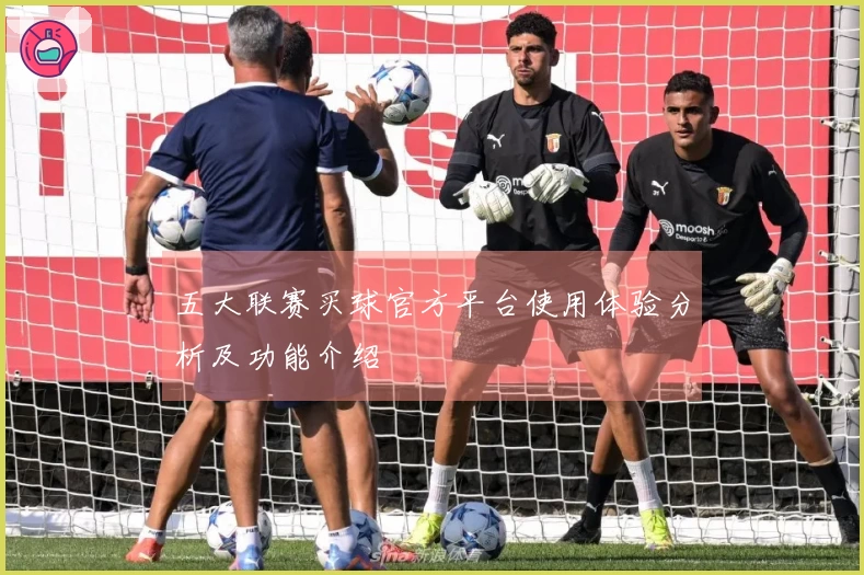 五大联赛买球官方平台使用体验分析及功能介绍