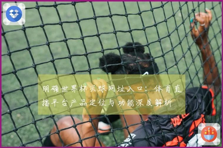 明确世界杯买球网址入口:体育直播平台产品定位与功能深度解析