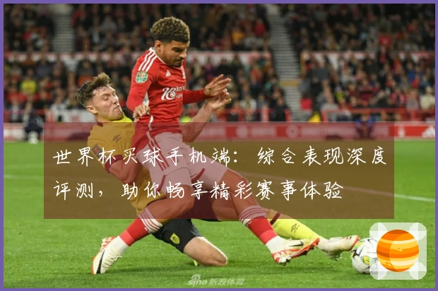 世界杯买球手机端：综合表现深度评测，助你畅享精彩赛事体验
