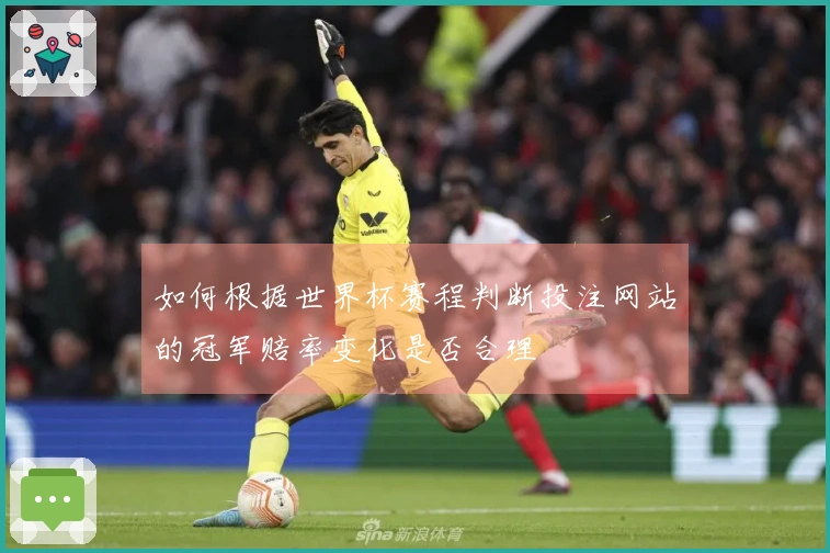 如何根据世界杯赛程判断投注网站的冠军赔率变化是否合理