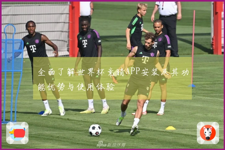 全面了解世界杯竞猜APP安装及其功能优势与使用体验