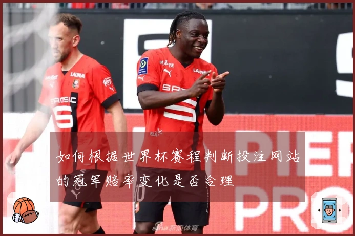 如何根据世界杯赛程判断投注网站的冠军赔率变化是否合理