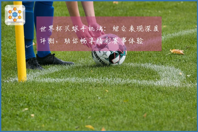 世界杯买球手机端：综合表现深度评测，助你畅享精彩赛事体验