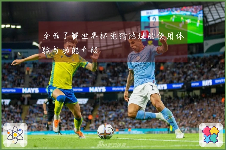 全面了解世界杯竞猜地址的使用体验与功能介绍