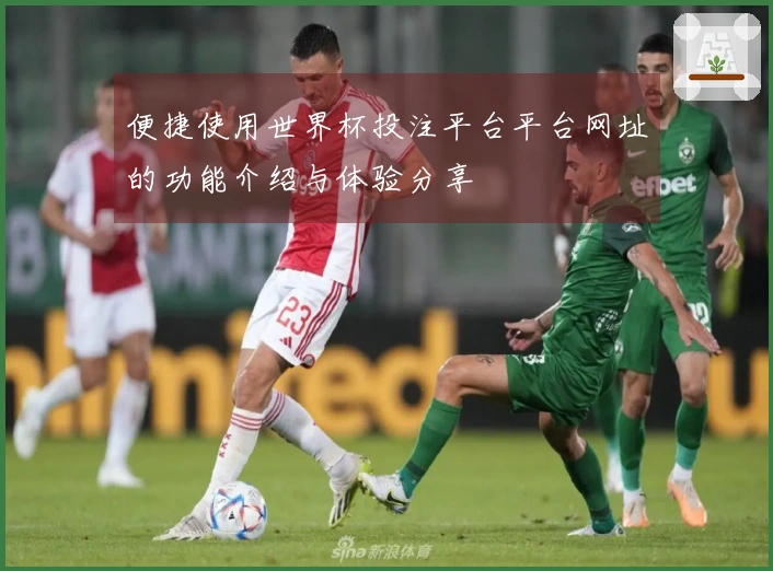 便捷使用世界杯投注平台平台网址的功能介绍与体验分享